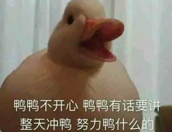 duck不必什么意思什么梗 duck不必表情包怎么回事