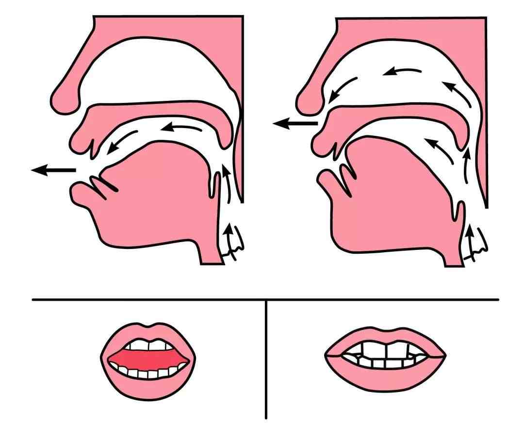 如何区分拼音中前鼻音和后鼻音的发音
