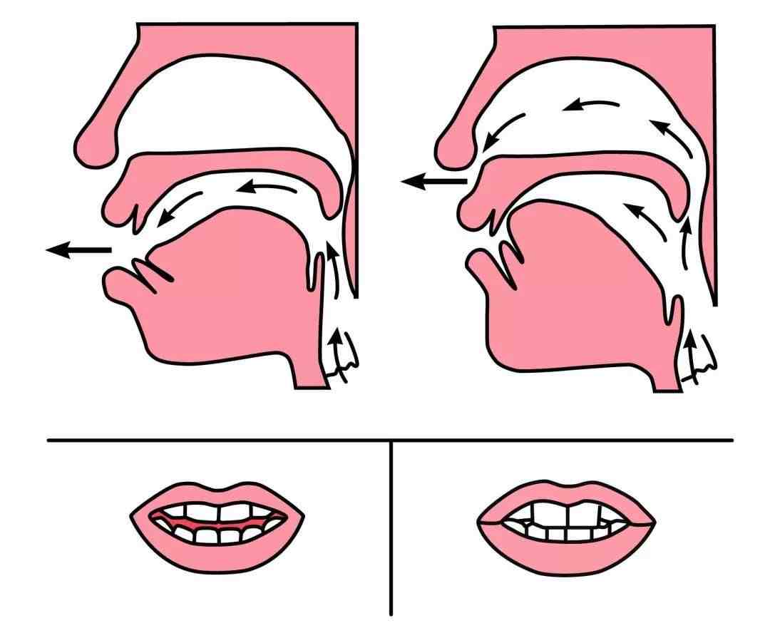 如何区分拼音中前鼻音和后鼻音的发音