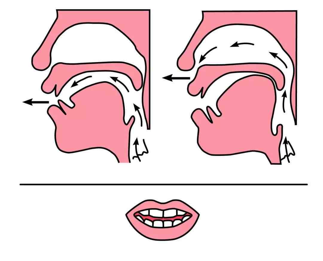 如何区分拼音中前鼻音和后鼻音的发音