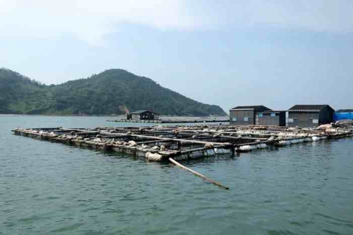 漳州景点大全排行榜_漳州旅游景点有哪些-天气加