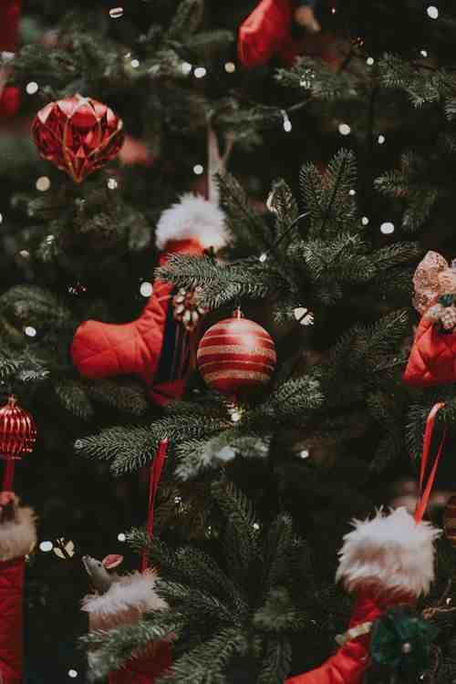圣诞快乐｜圣诞节为什么是12月25日，你知道吗？