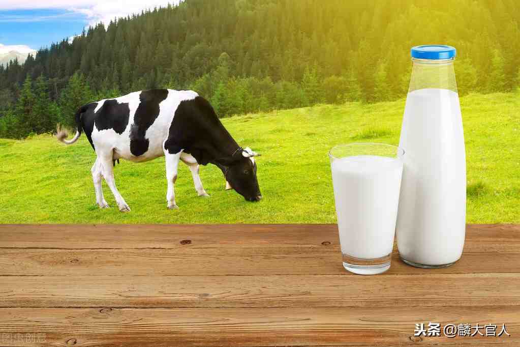 “有机牛奶”和“纯牛奶”有啥区别？真的更营养吗？建议弄懂再买