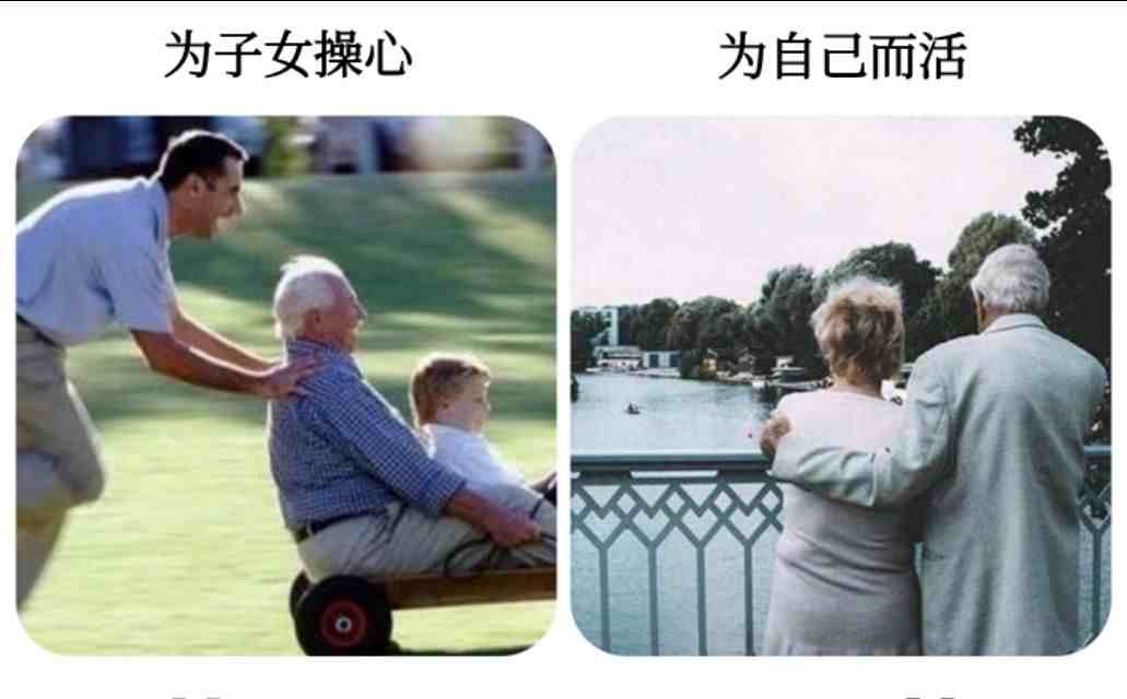 丁克家庭和普通家庭，40年后的区别，轻松是真的，孤独也是真的