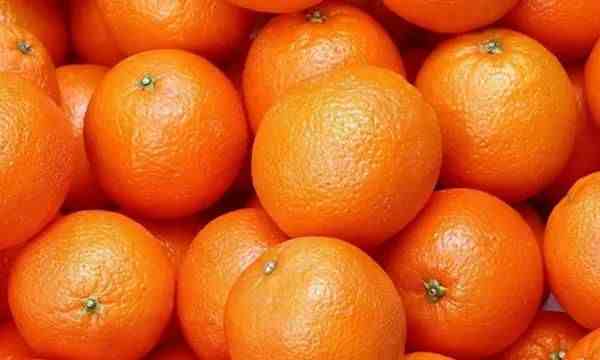 柑橘与芦柑有什么区别（芦柑与橘子的区别你都知道吗？）