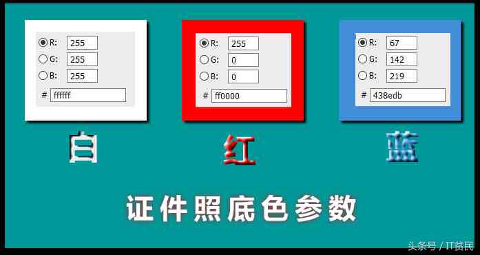 证件照的具体尺寸和颜色你知道吗？