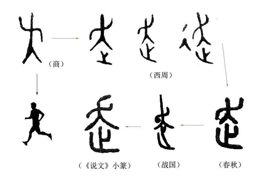 成语“走马观花”中，“走”是什么意思？