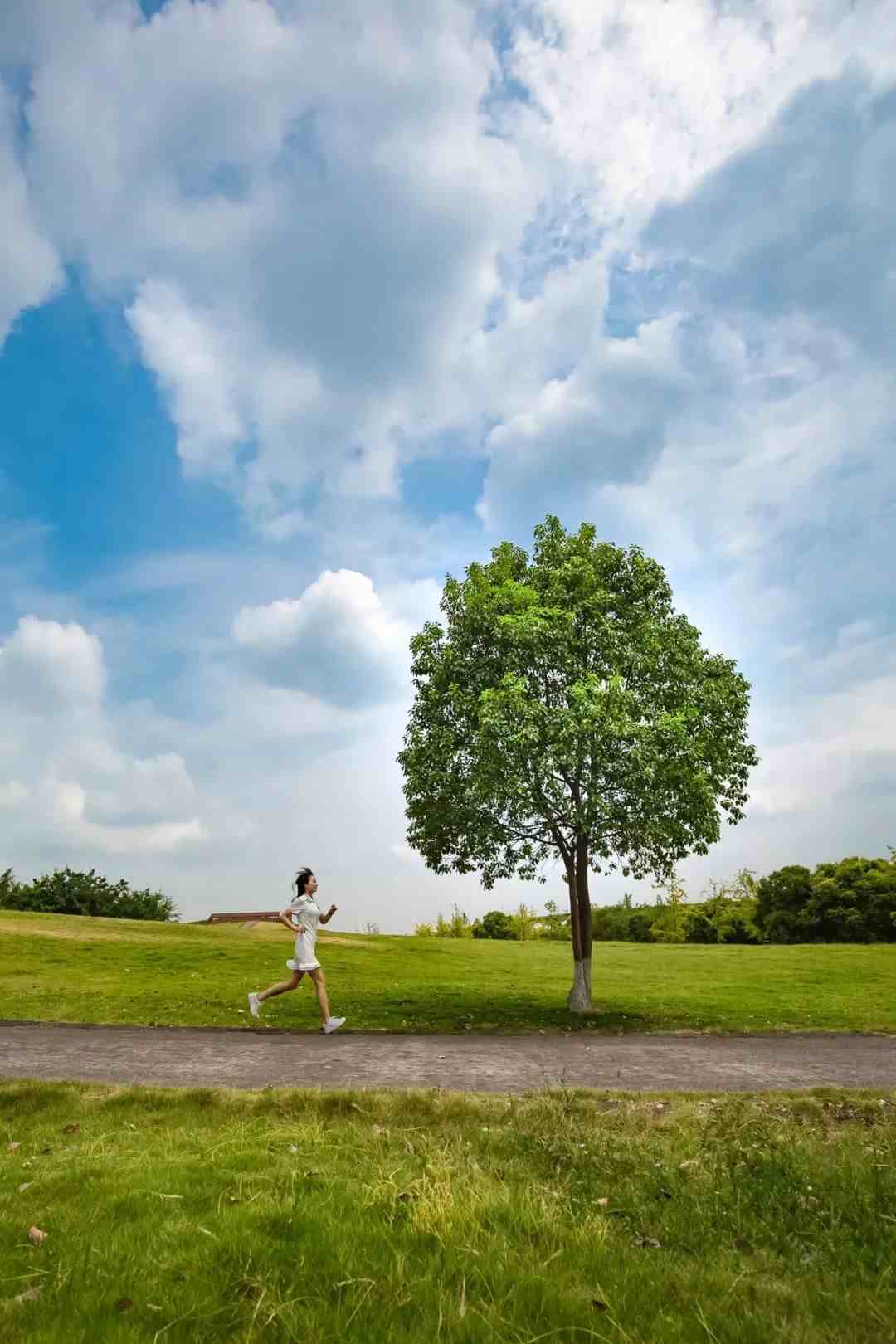 三分法构图很好理解，你学“废”了吗？