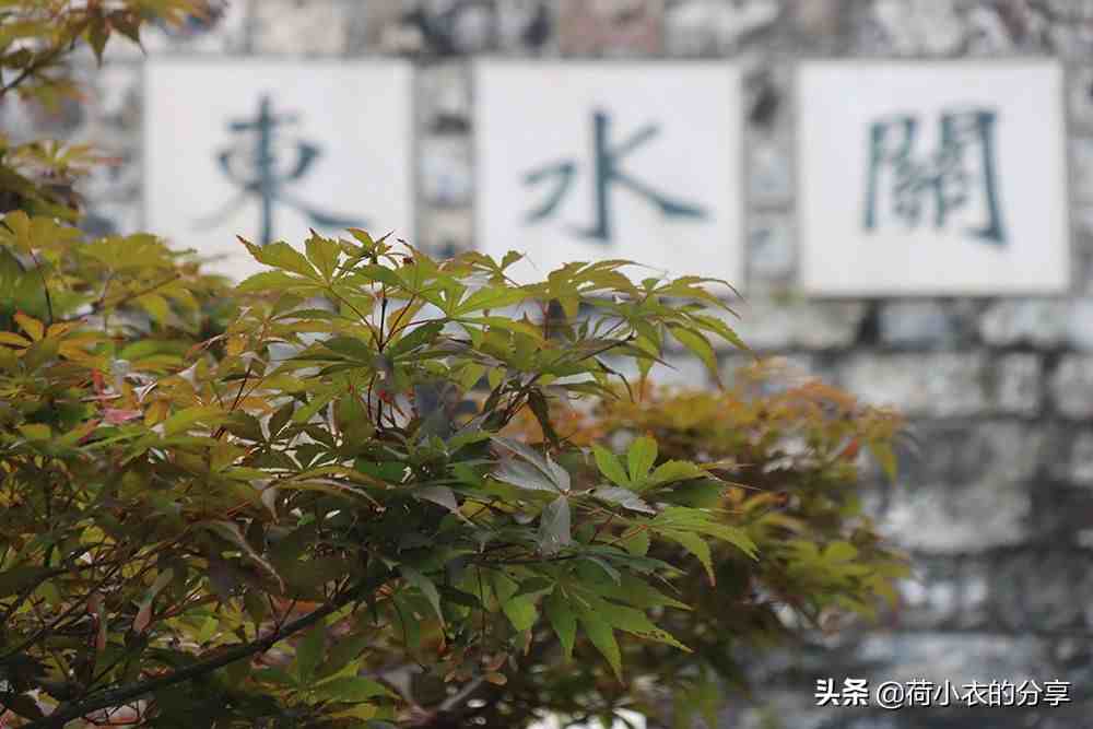 南京旅游必去的这6大景点，本地网友：这才是南京的精髓