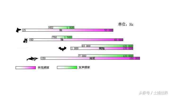 什么是次声波?为什么次声波能够杀死人？