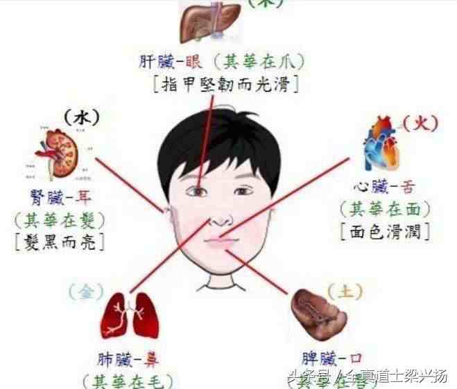 如耳朵不论寒暑都发红,很可能有肾病.