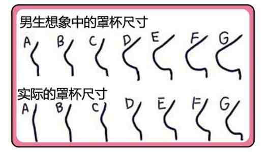 a罩杯胸是多大图片