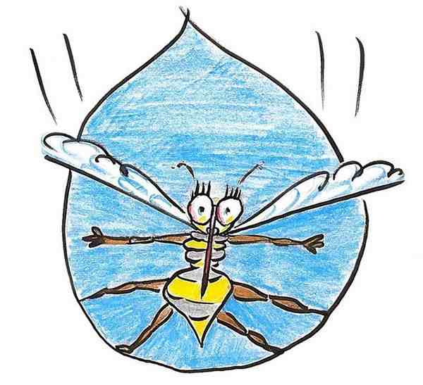 下雨的时候，蚊子为什么不会被雨砸死？