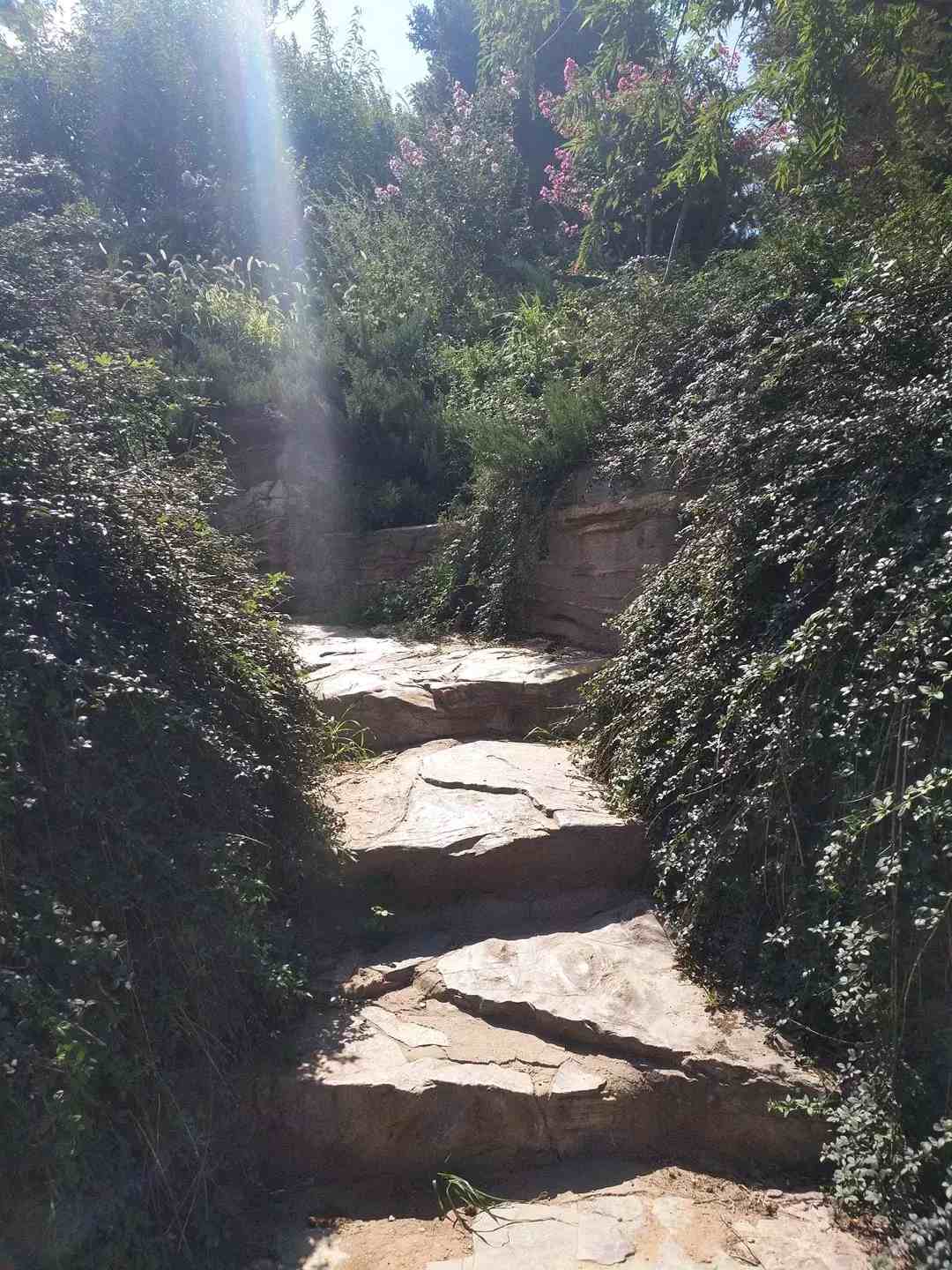 太爽了！这个北京城最美的森林公园，景美人又少，最适合中老年健身、吸氧、洗肺！