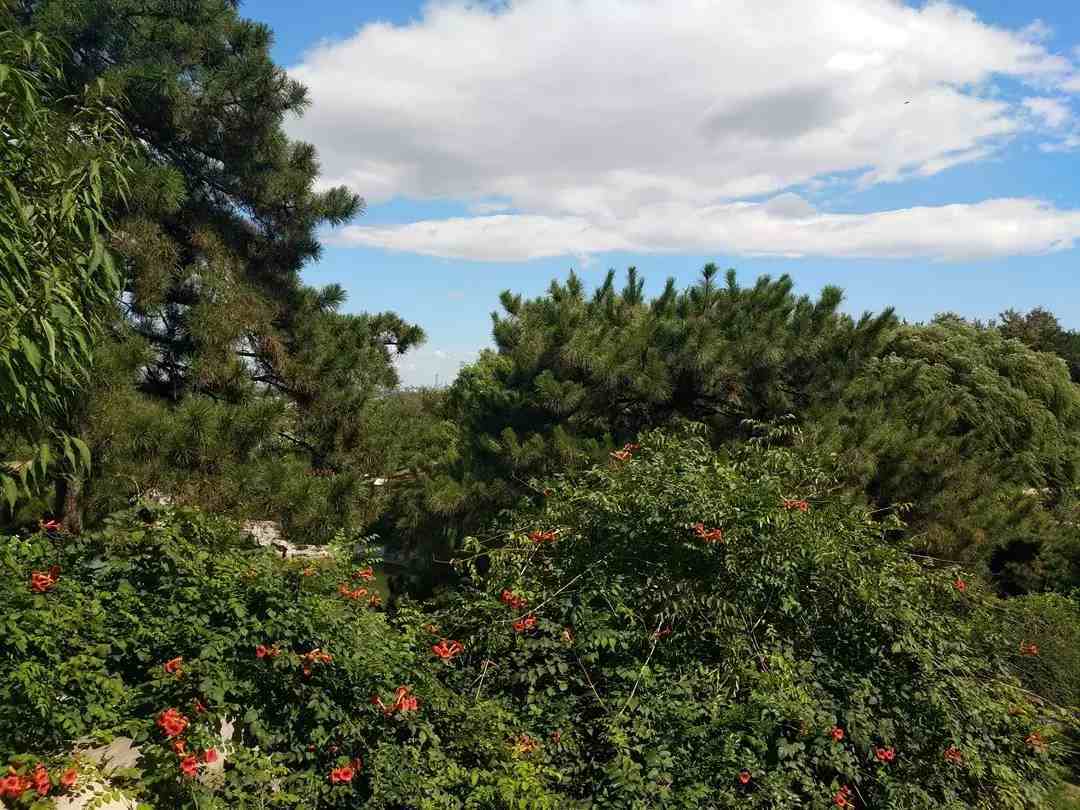 太爽了！这个北京城最美的森林公园，景美人又少，最适合中老年健身、吸氧、洗肺！