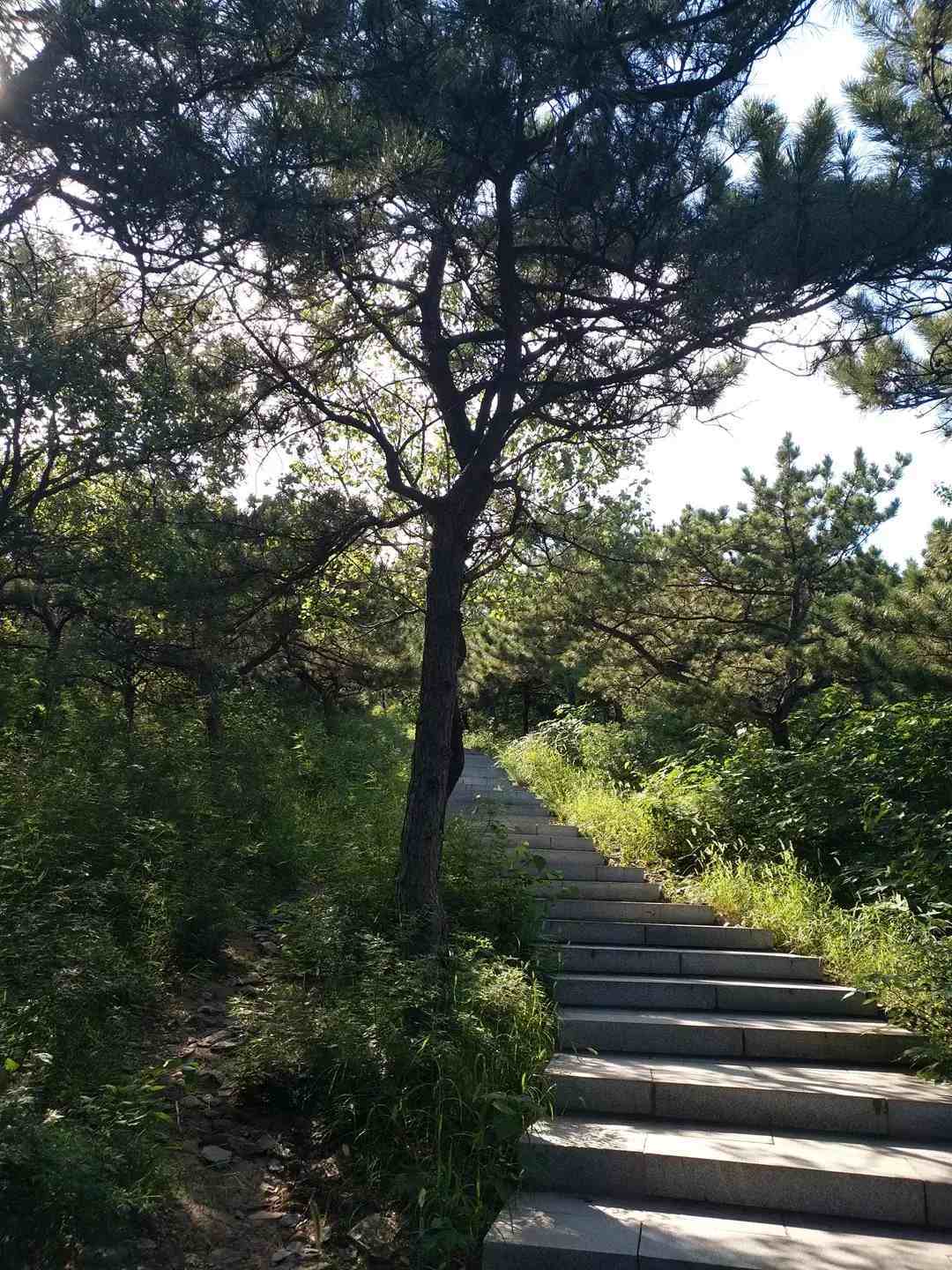 太爽了！这个北京城最美的森林公园，景美人又少，最适合中老年健身、吸氧、洗肺！