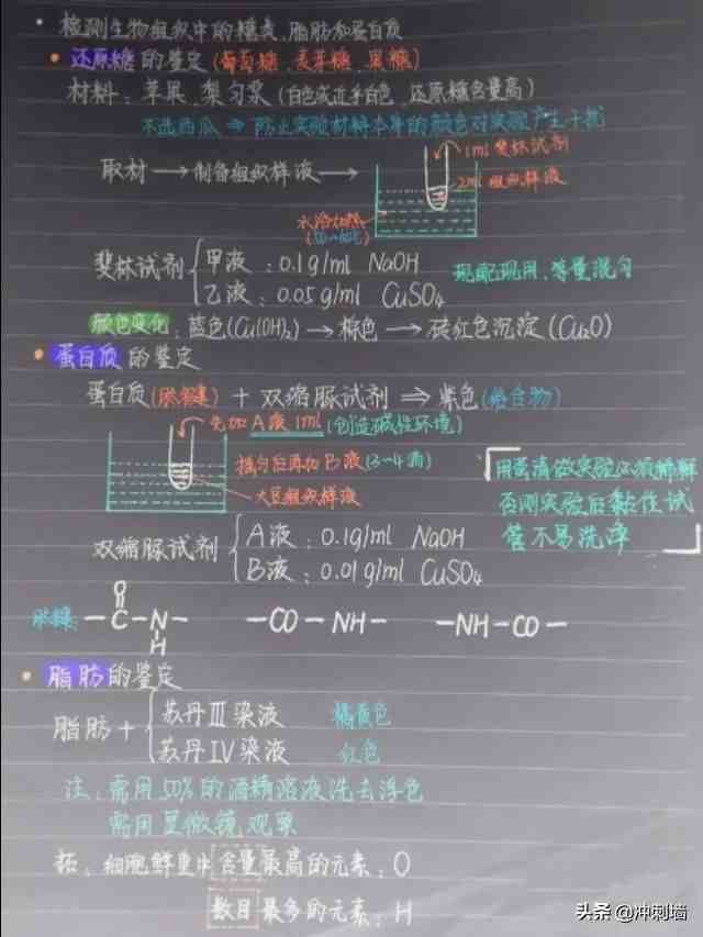 高中生物必修一笔记梳理