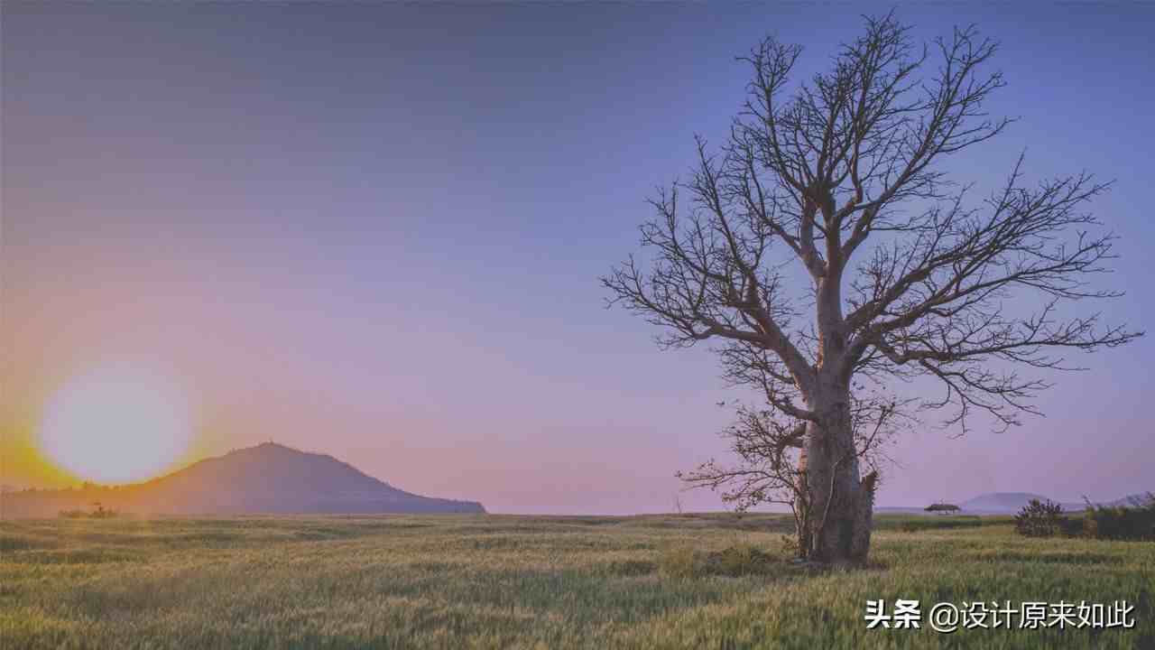 PS如何对照片进行调色？关于色阶的小技巧，也许你还不知道