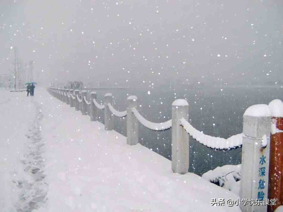 关于下雪的日记|小学生优秀日记周记