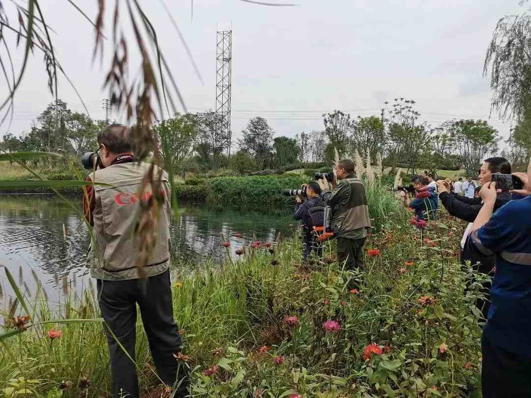 力荐！仁寿黑龙滩，春日赏景必去！