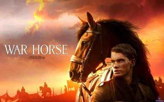 这12部关于马的电影，总有一部会让你热泪盈眶！