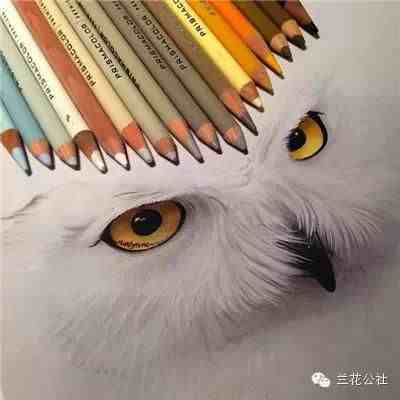 超震撼的彩色铅笔绘画！