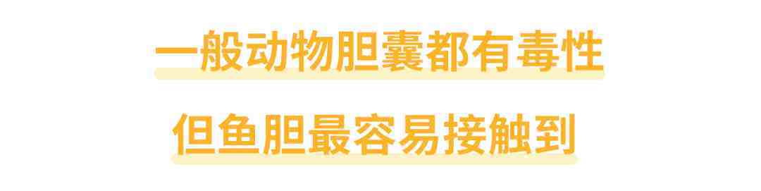 还有人不知道吗？鱼胆不是治病偏方，它有毒