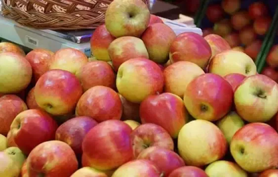 波兰苹果凭什么和中国苹果较量？