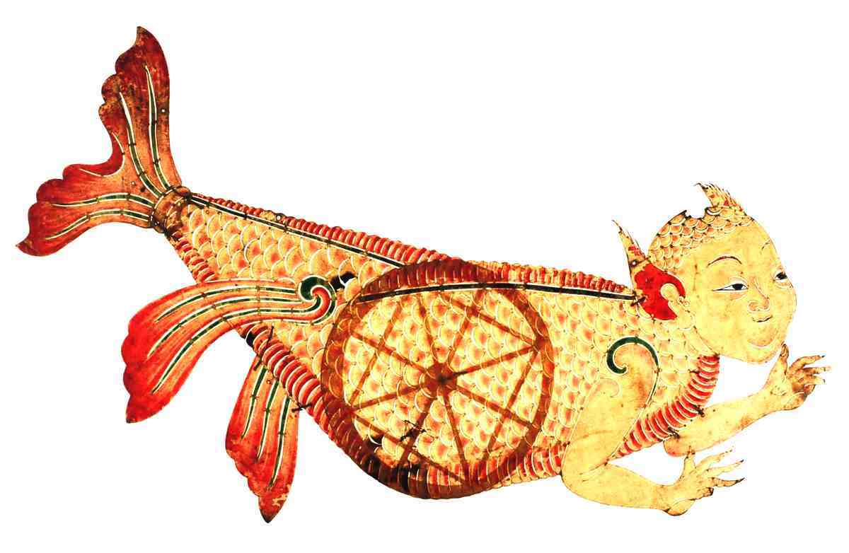 《山海经》里的美人鱼究竟是什么动物？