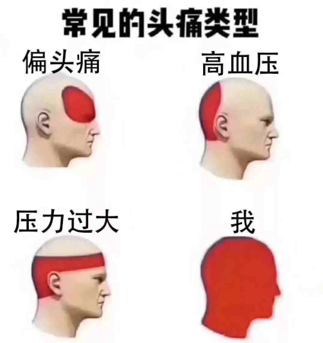 司机工作总结|卡车司机年终总结报告