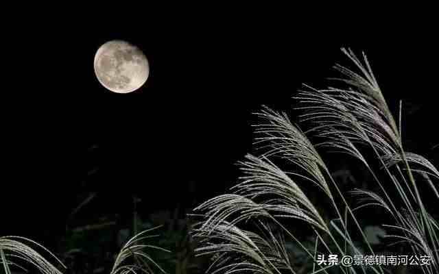 月是故乡明的前一句是|诗词｜杜甫：露从今夜白，月是故乡明