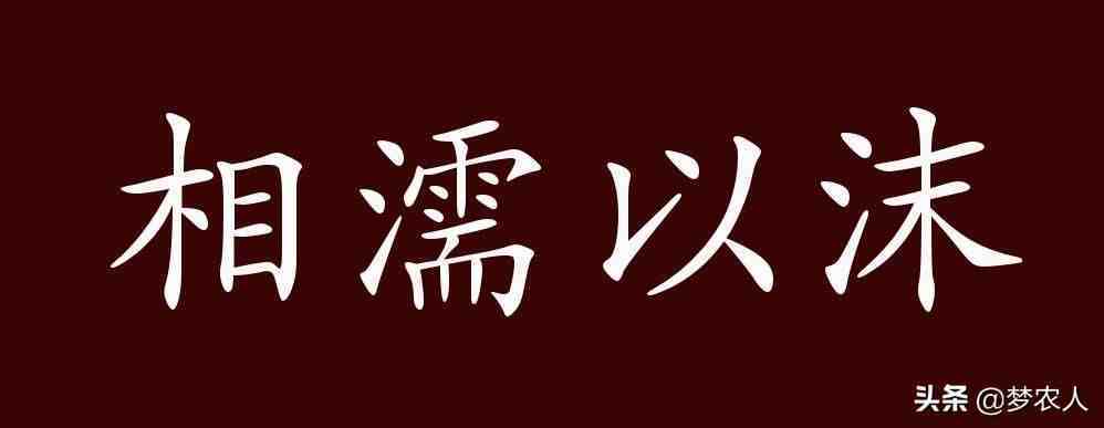 相濡以沫什么意思|相濡以沫的出处、释义、典故