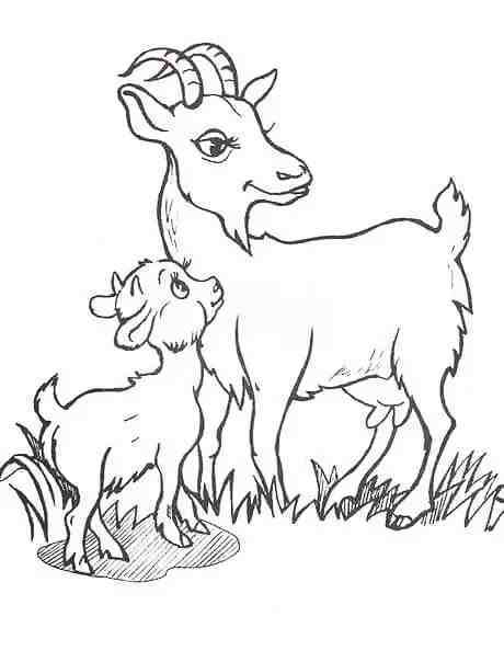 简笔画：7种山羊简笔画画法，简单易学，适合小白学习的简笔画