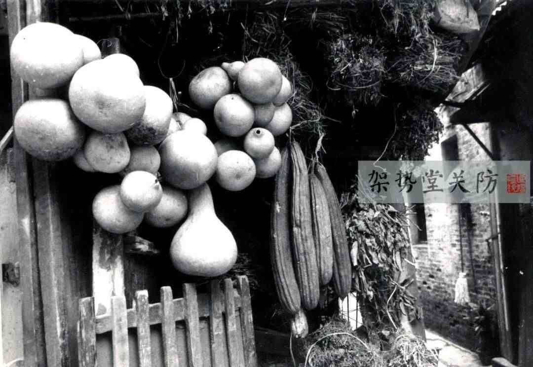 连阳标统：闲话广州城市更迭中的历史文化