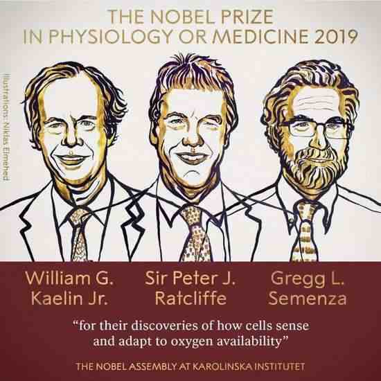 诺贝尔奖金额到底是什么水平？对比其他科学奖项的金额就知道了