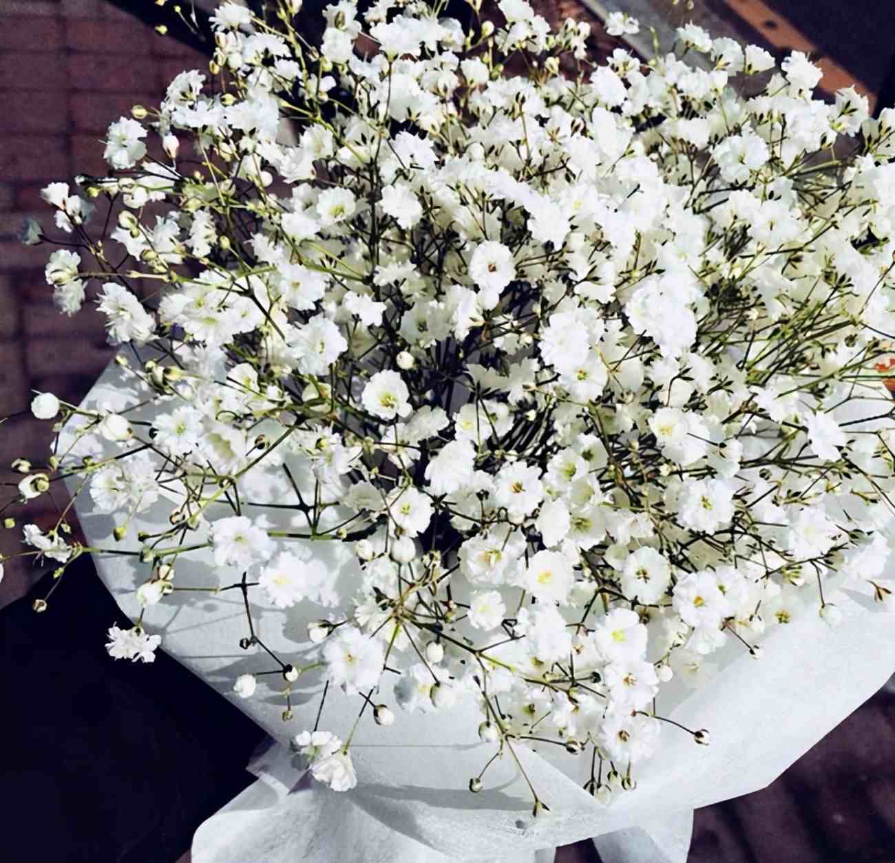 6种婚礼花卉，美好的祝愿，你值得拥有