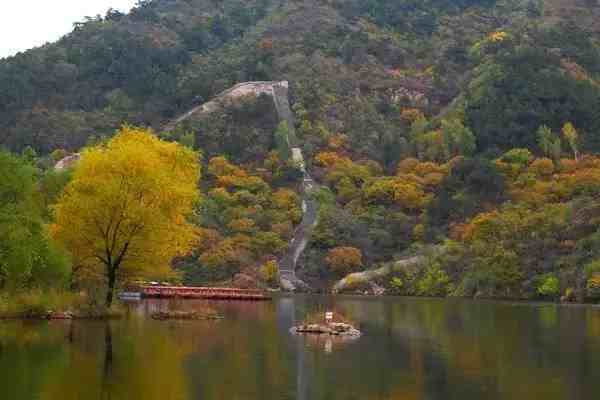 这些才是北京秋天该去的地方！一个比一个美！