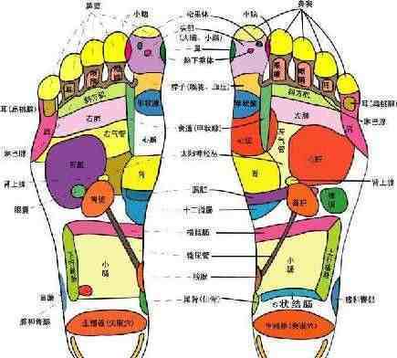 足疗穴位图 脚底的穴位图及功能