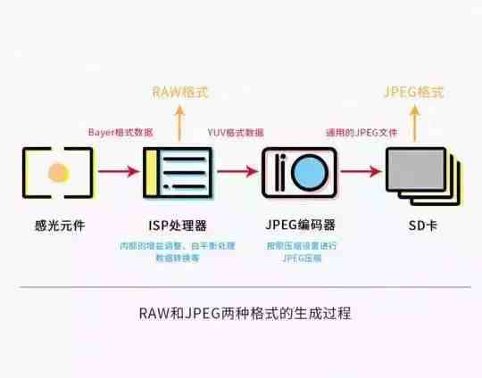 单反摄影RAW和JPG格式你选哪个？