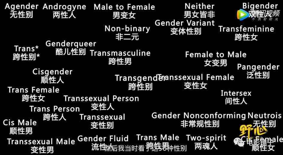 不止男与女，其实人类有56种性别