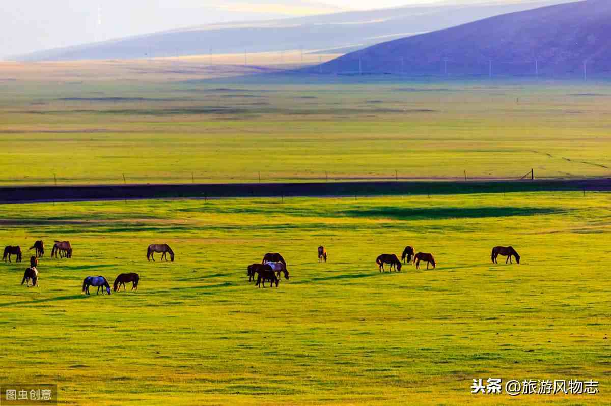 国内最美的4大草原，风吹草低见牛羊，你去过几处？