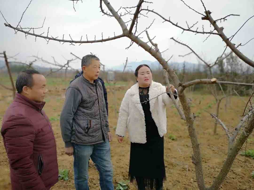 淅川：后湾村，再也不是旧模样