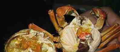 熟螃蟹保存|煮熟的大闸蟹怎么保存