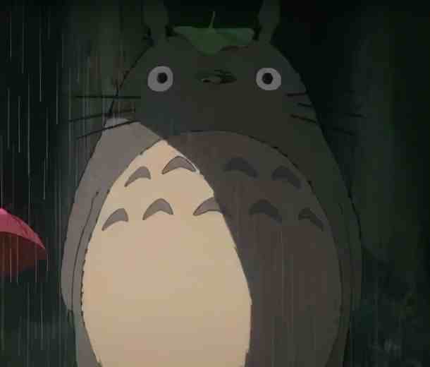 龙猫不是猫，是只大耗子，是宫崎骏故事里的精灵！你想养吗？