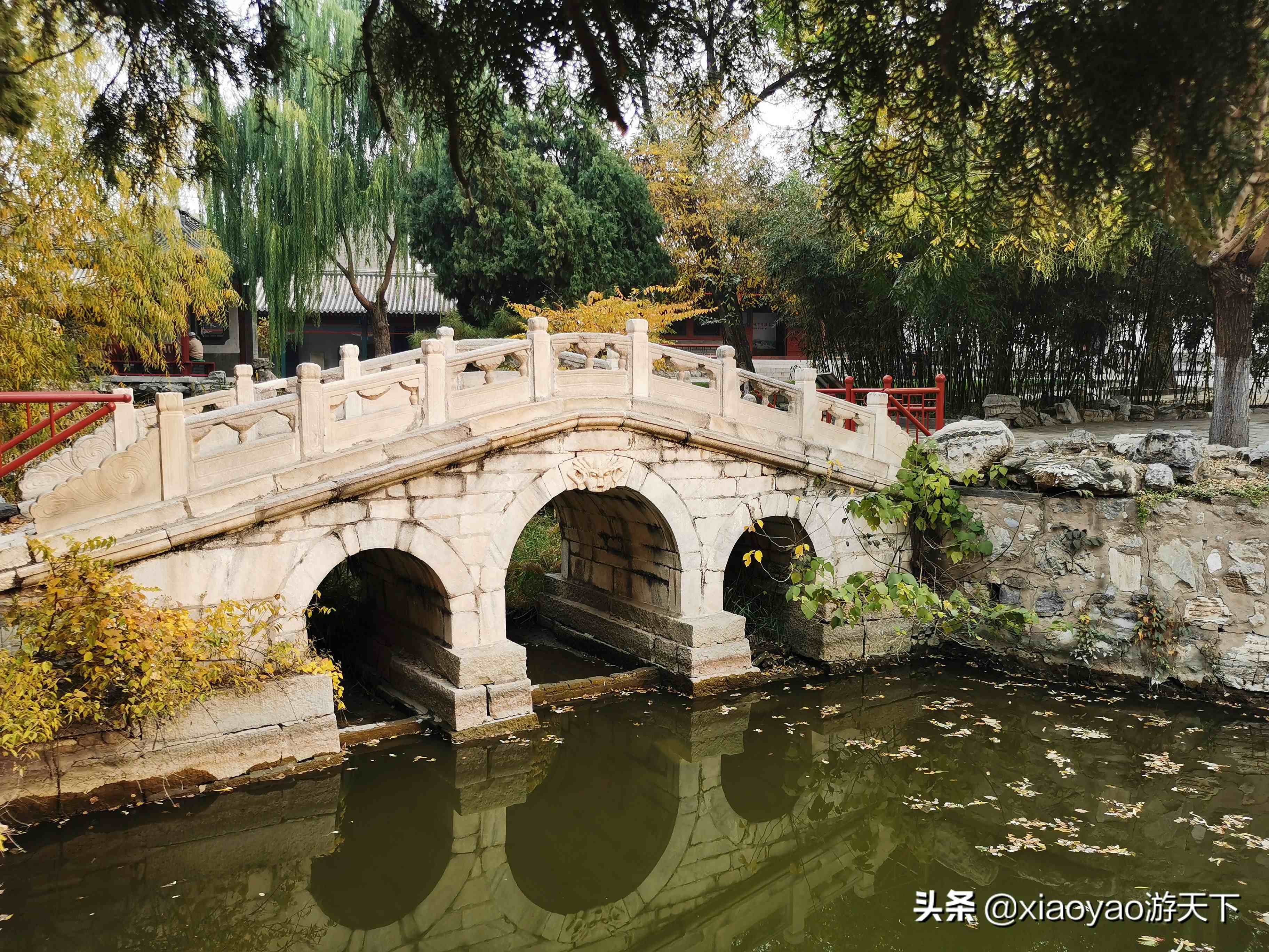 古莲花池|古莲花池景点介绍