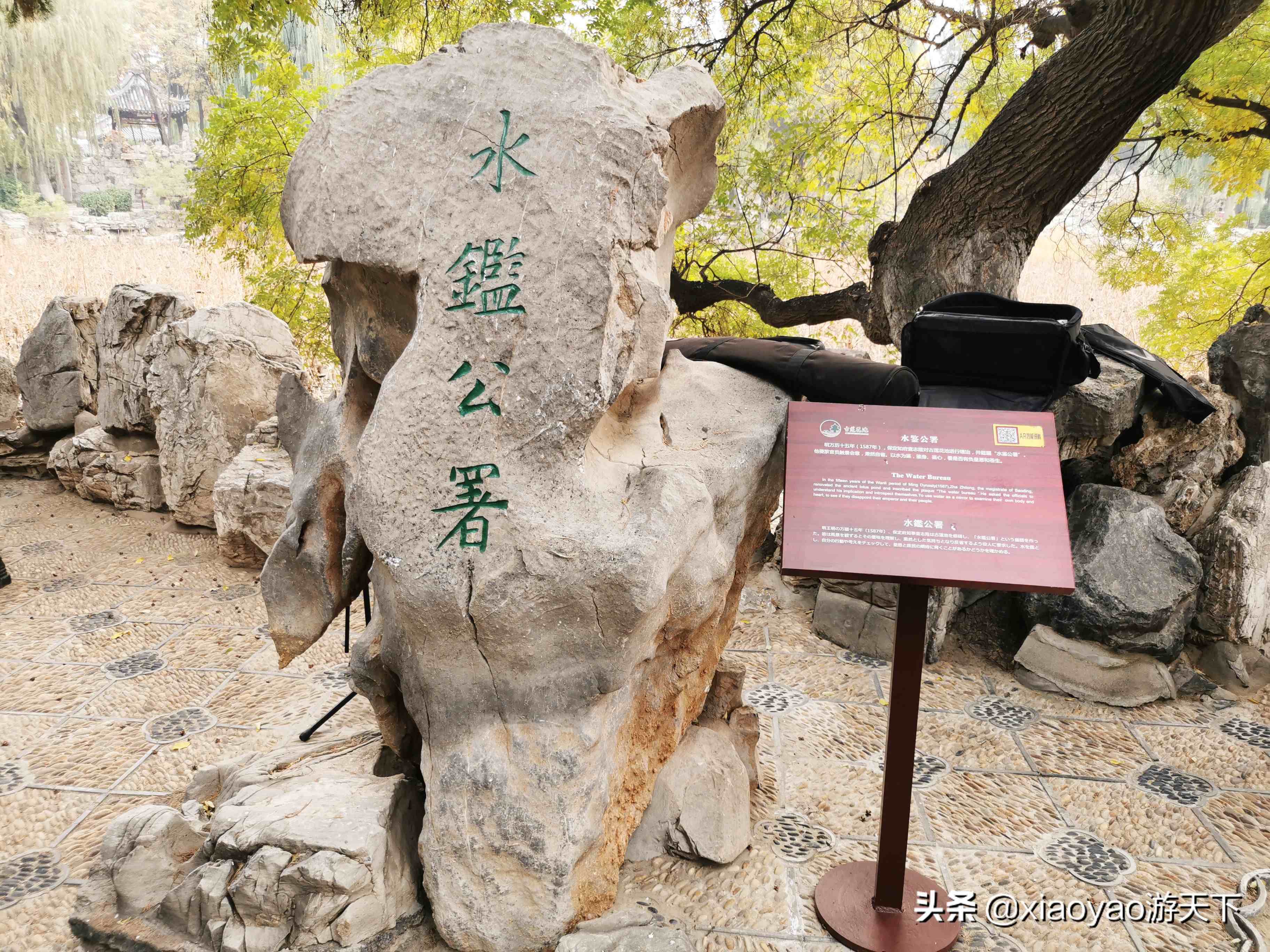 古莲花池|古莲花池景点介绍