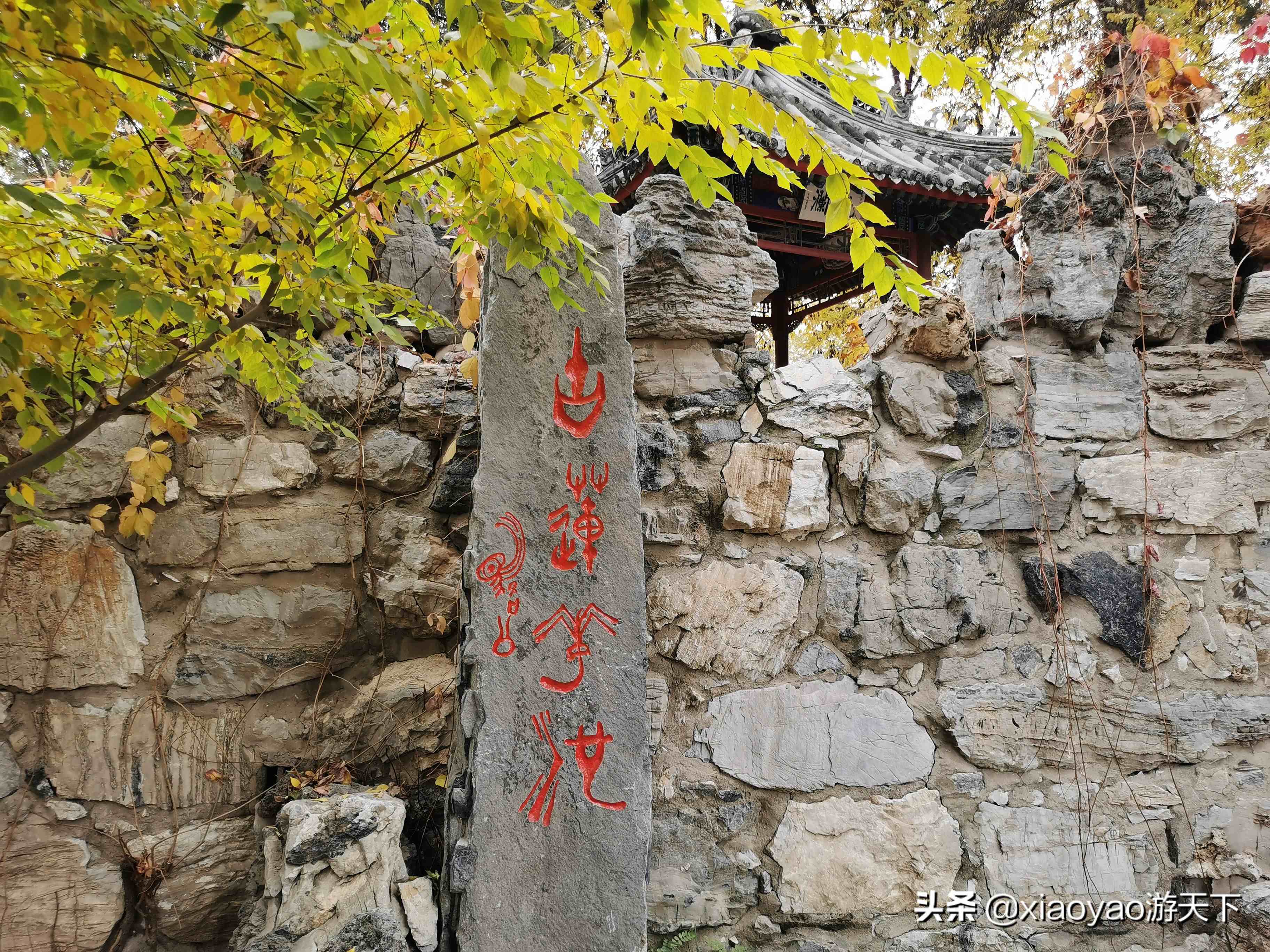 古莲花池|古莲花池景点介绍