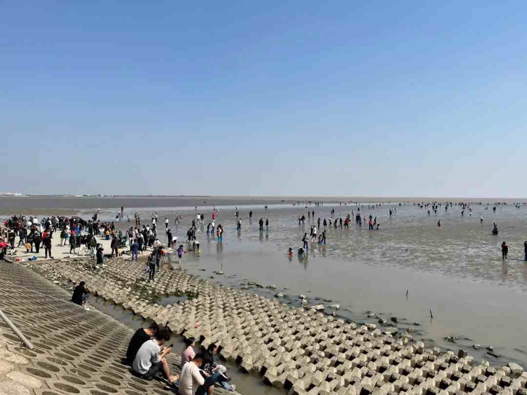 上海奉贤海湾旅游区|上海十大必游景点