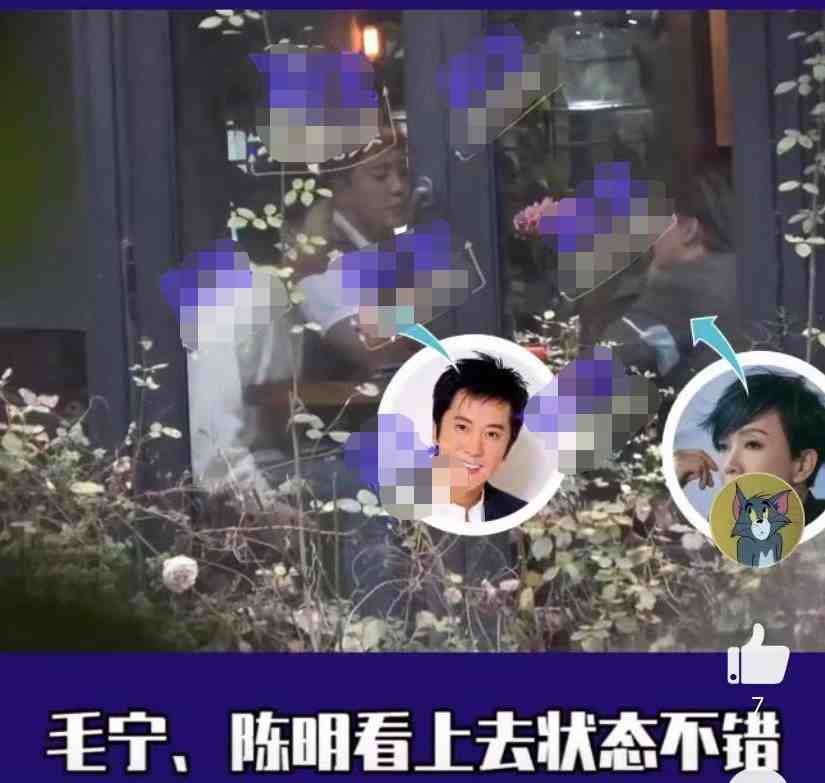 毛宁结婚了吗|杨钰莹和毛宁恋爱过吗