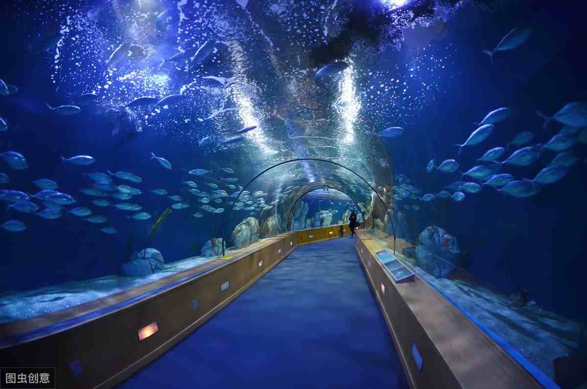 成都水族馆，成都海底世界，成都海洋馆，成都海洋公园25年回顾